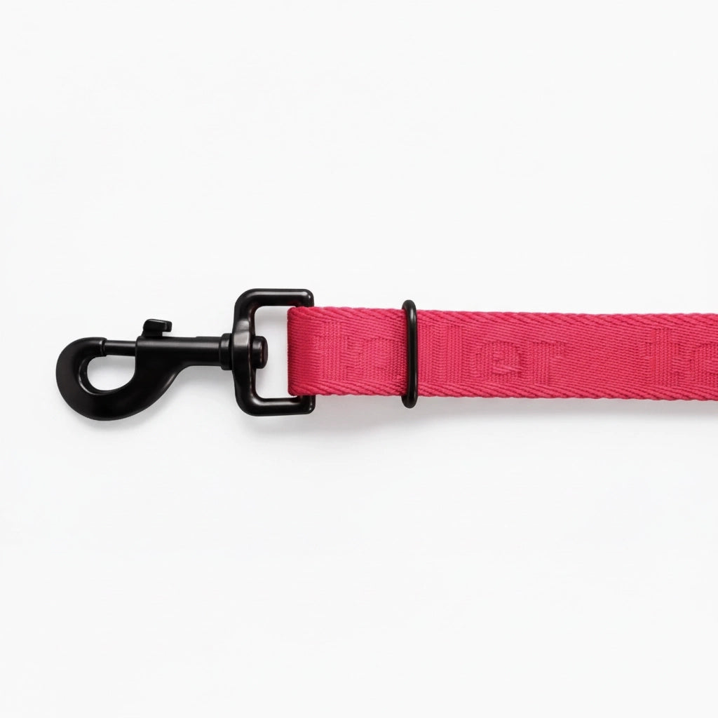 Pink dog leash with black clip on a white background