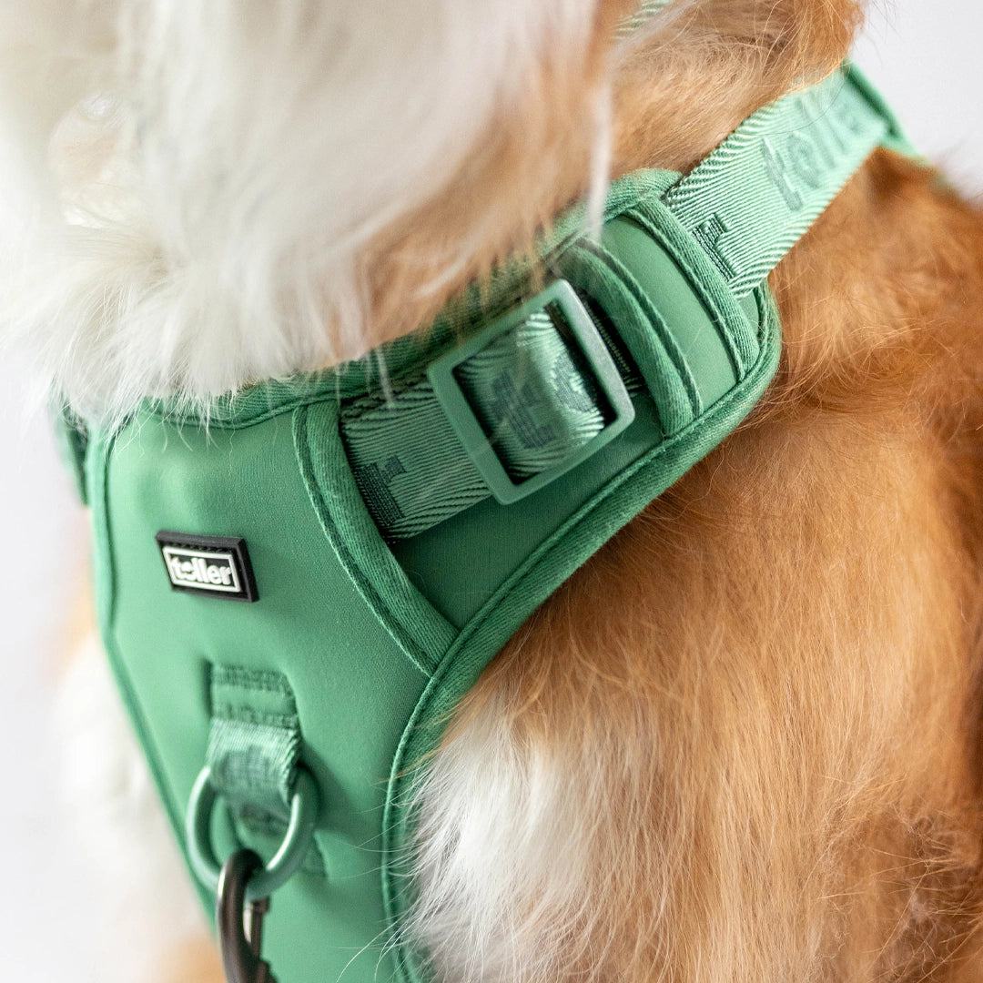 Toller green harness detail photo