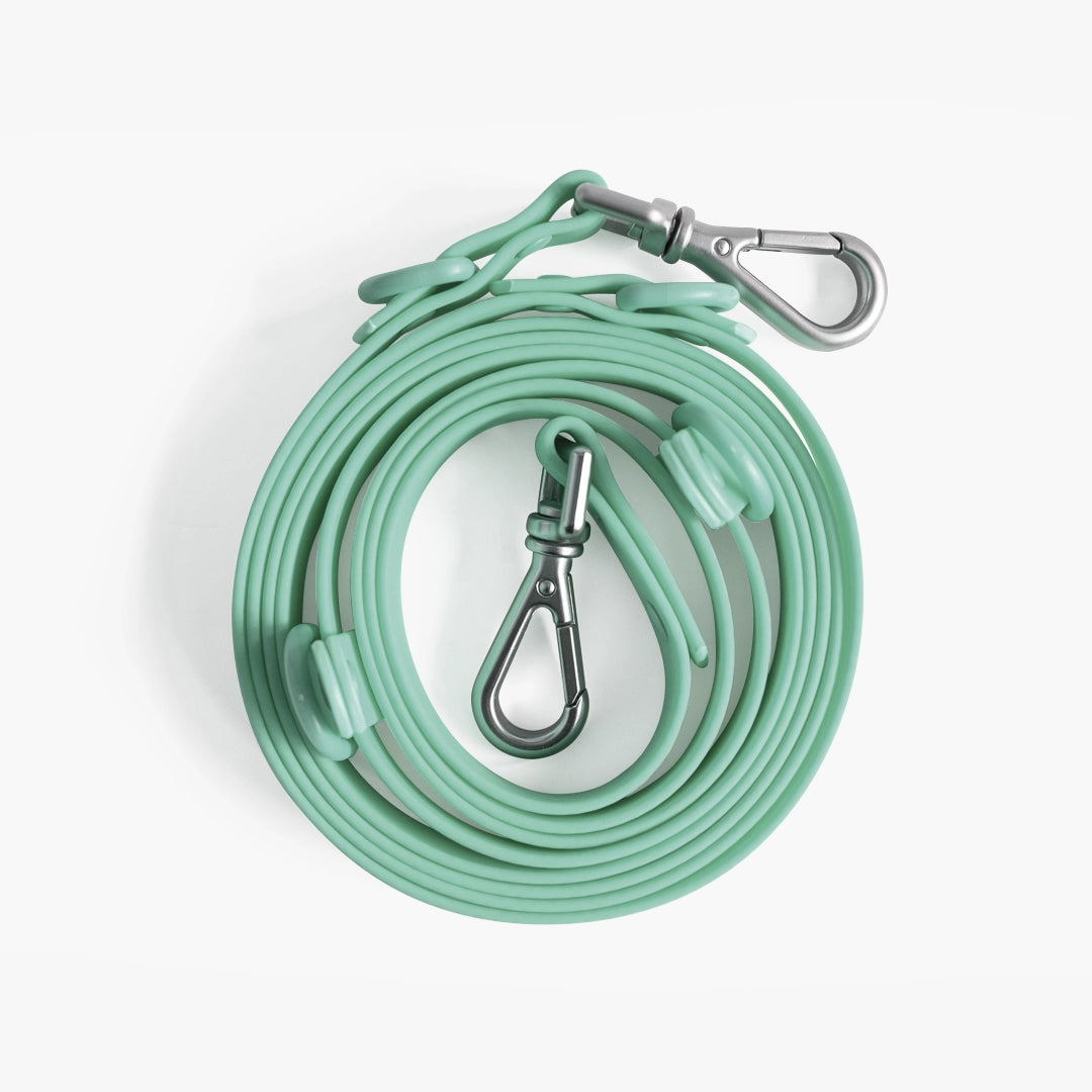 Mint green dog leash with metal clip on a white background