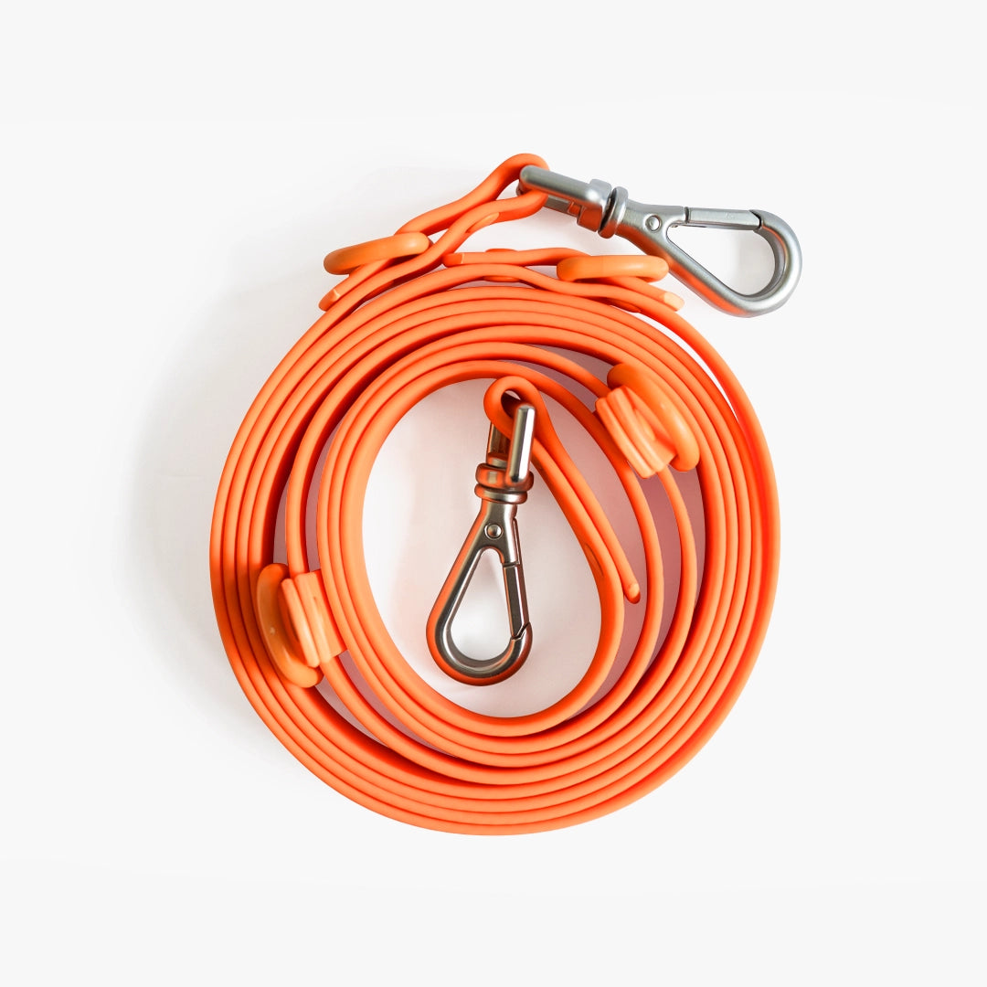 Coiled orange dog leash with metal carabiners on a white background