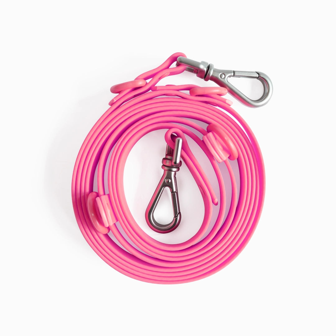Pink dog leash with metal clip on a white background