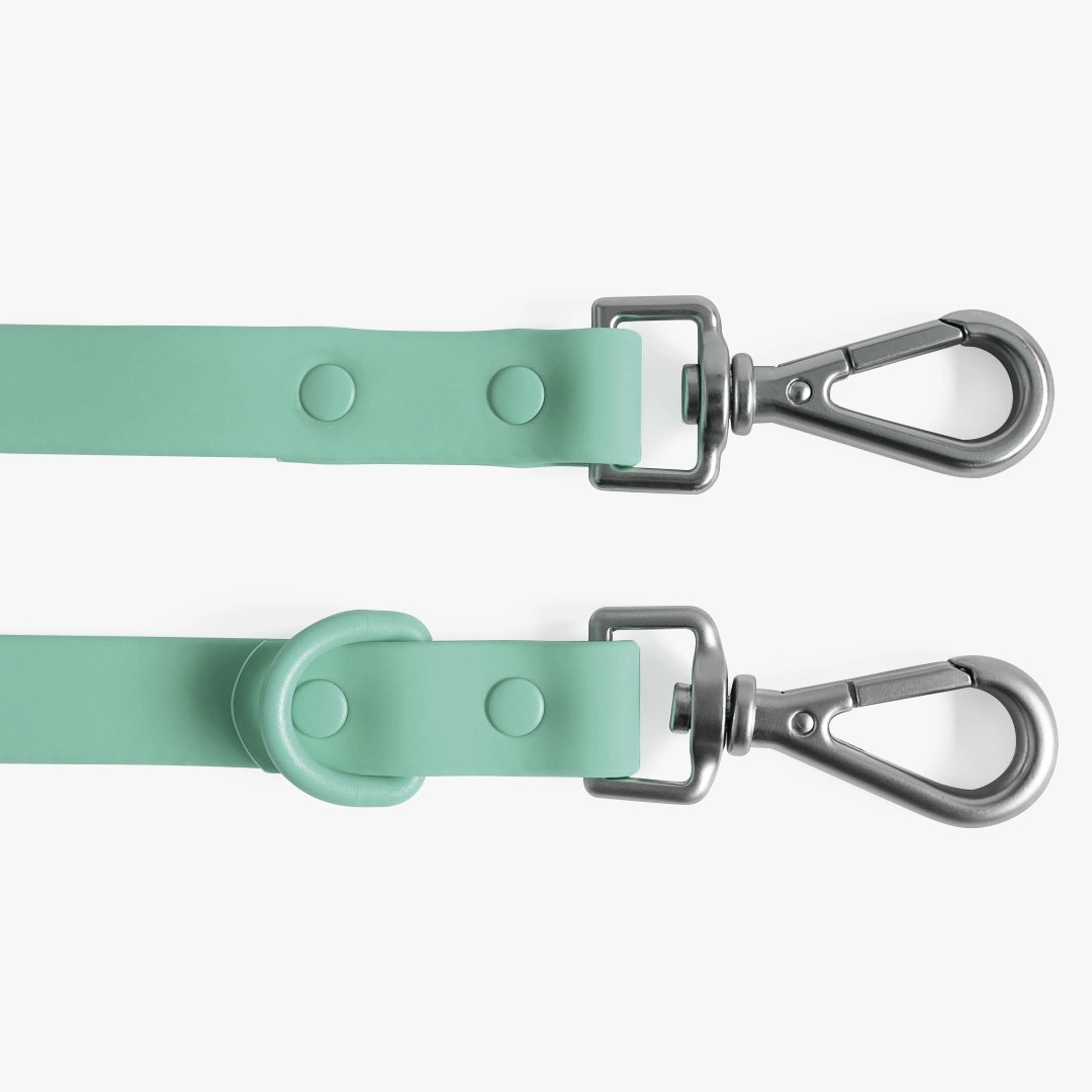 Two mint green dog leashes with metal clasps on a white background