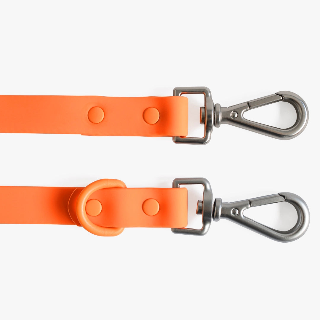 Two orange dog leashes with metal clasps on a white background