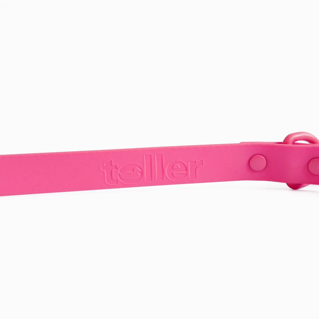 Pink dog collar with 'teller' branding on a white background