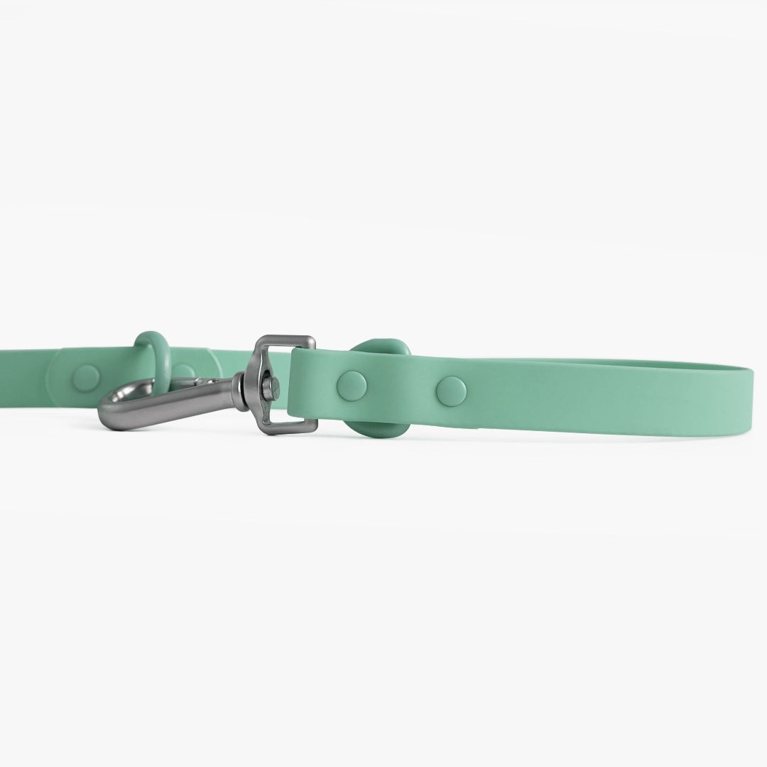 Mint green dog collar with a silver buckle on a white background