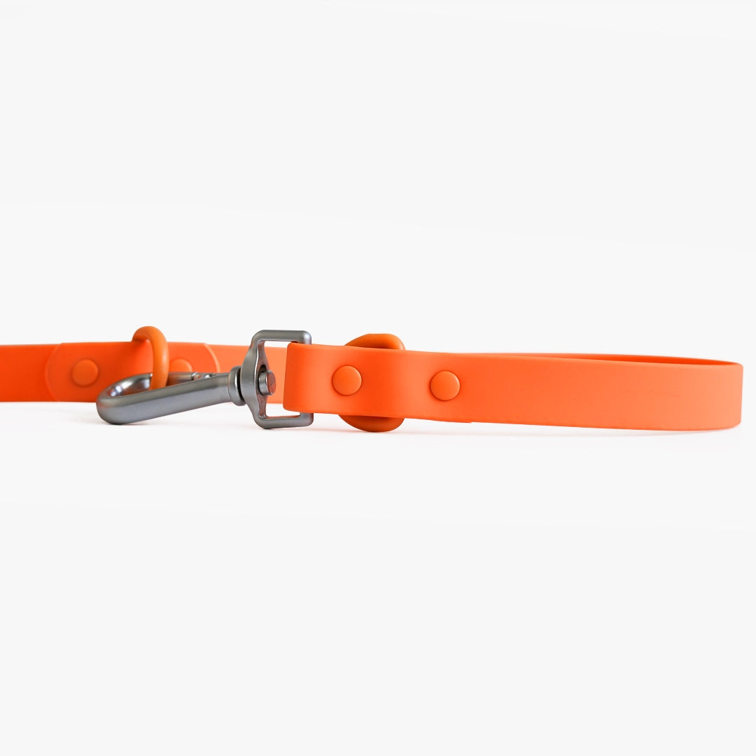 Orange dog collar with a silver clasp on a white background
