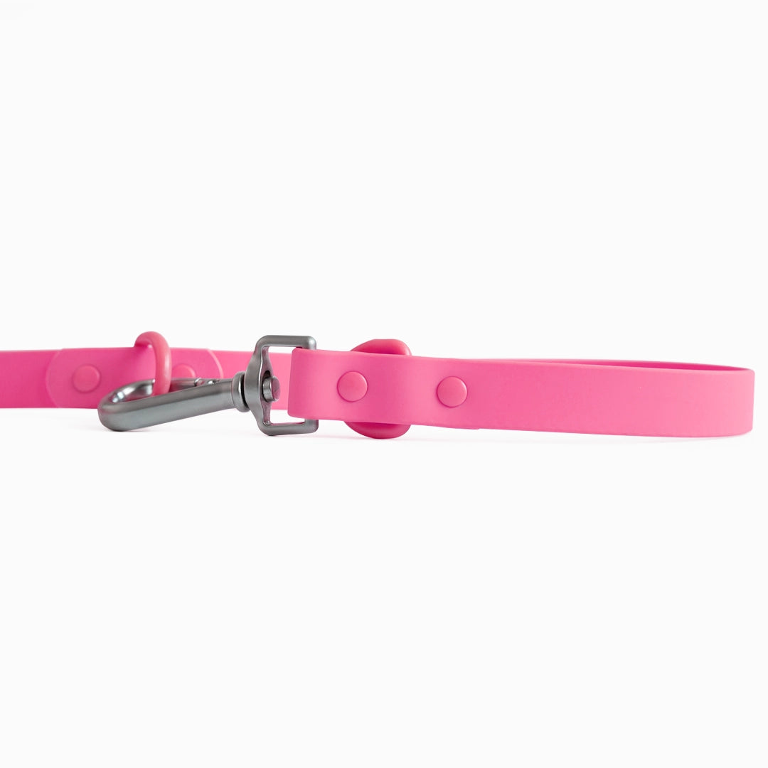 Close up of hot pink dog leash