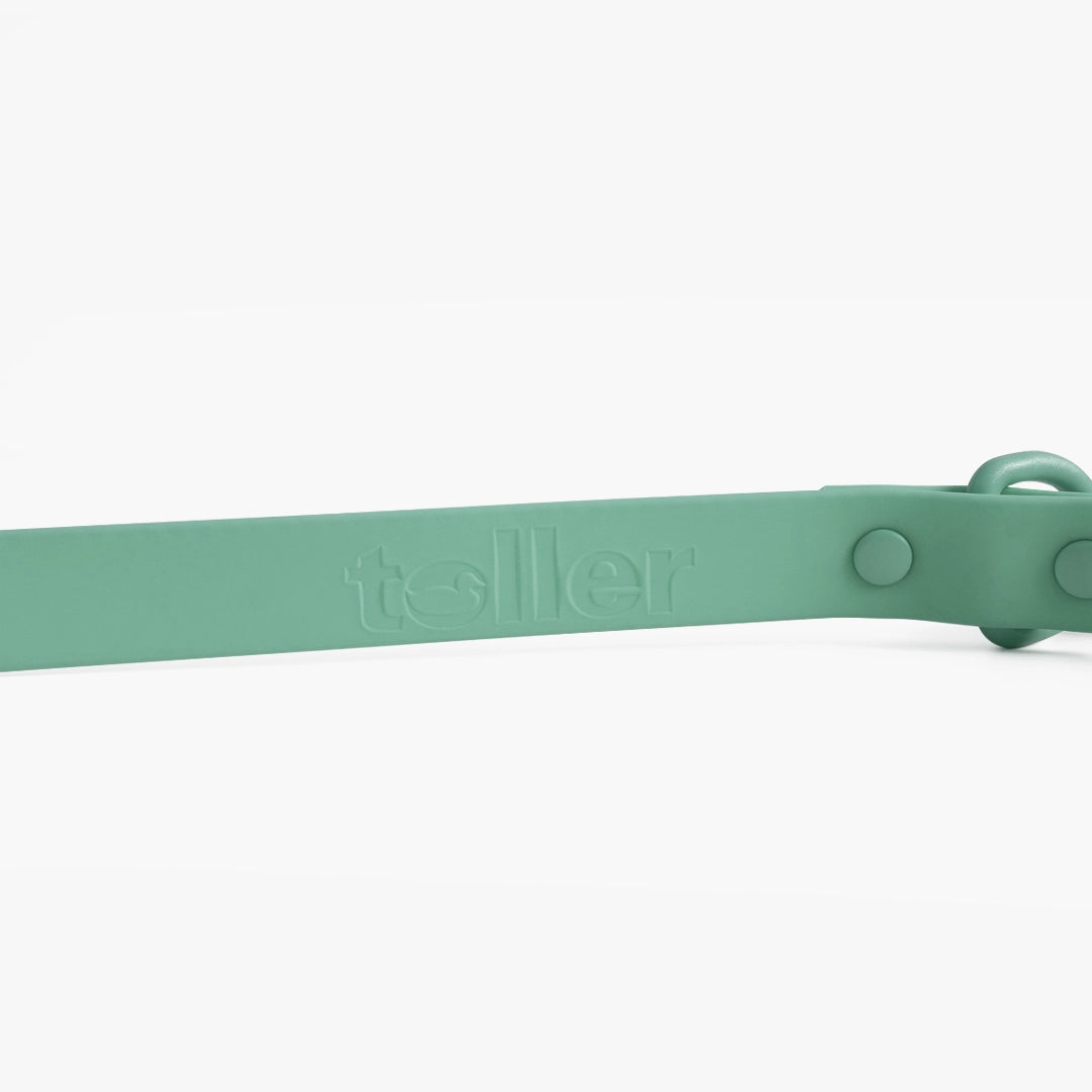 Green dog collar with 'toller' branding on a white background