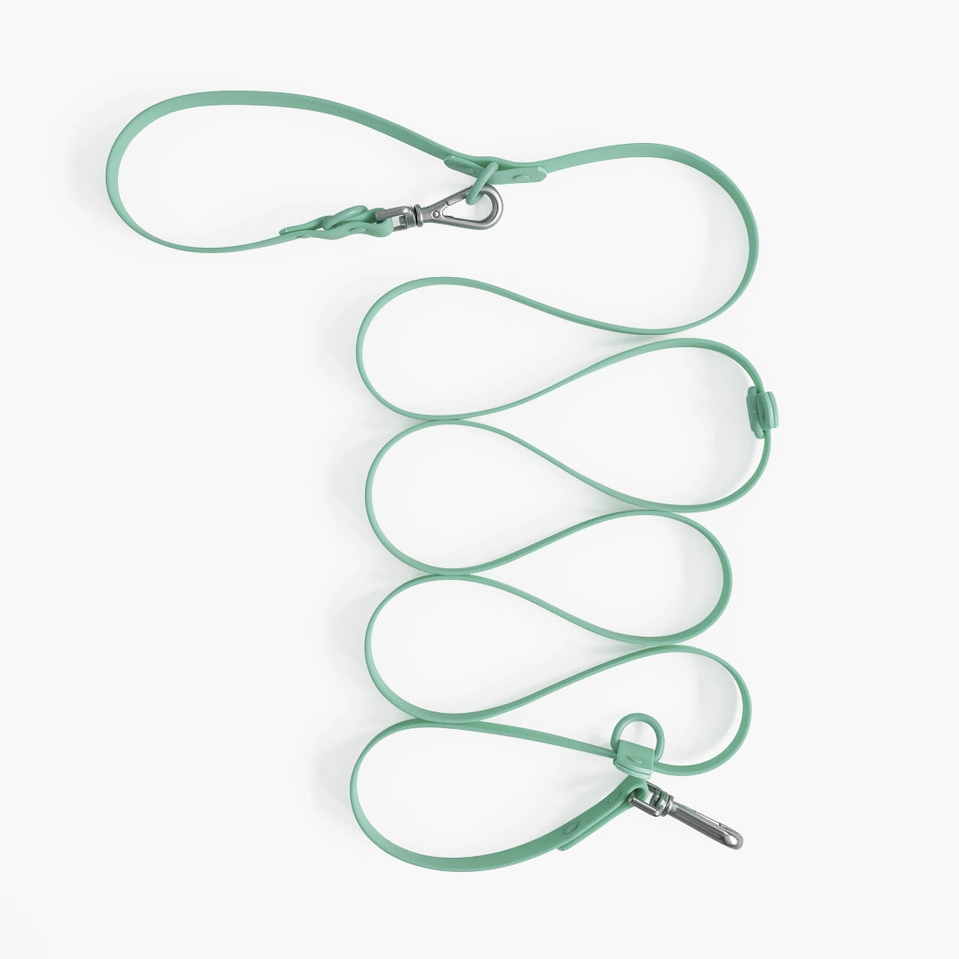 Green dog leash coiled on a white background