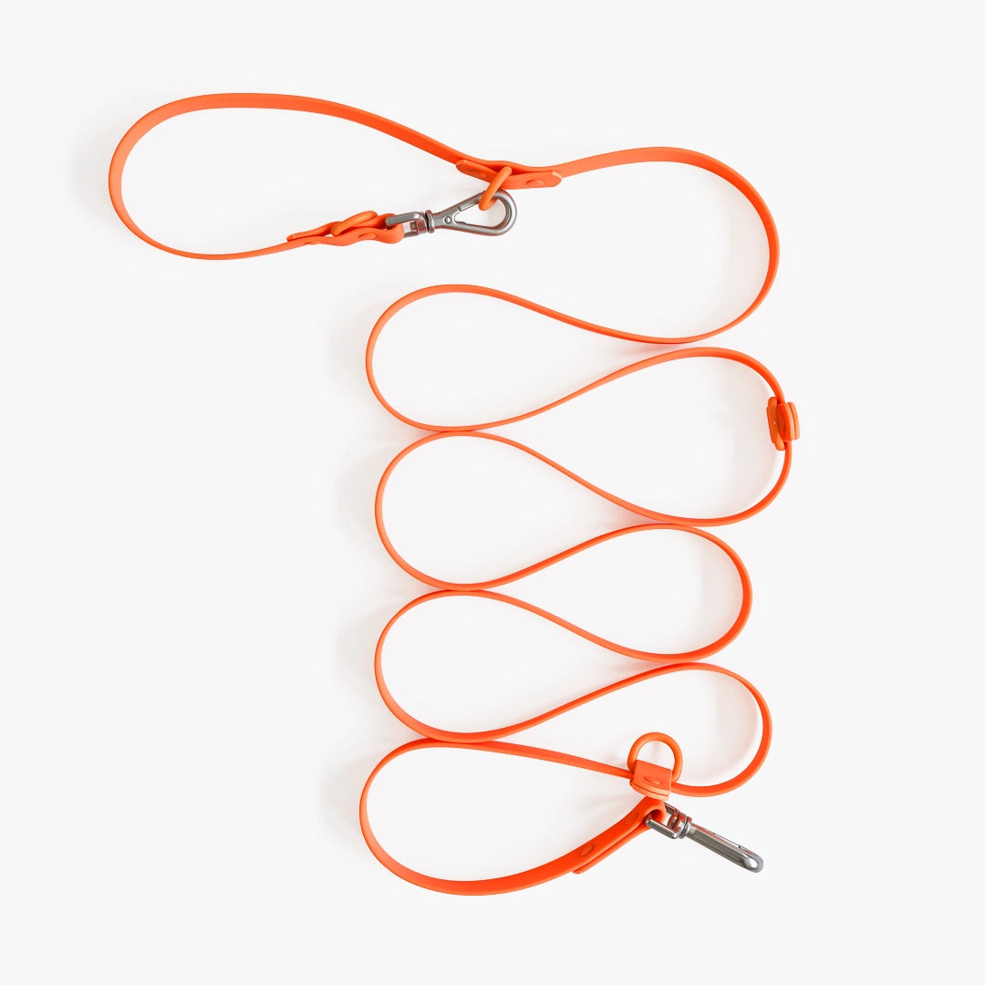 Orange dog leash with metal clips on a white background