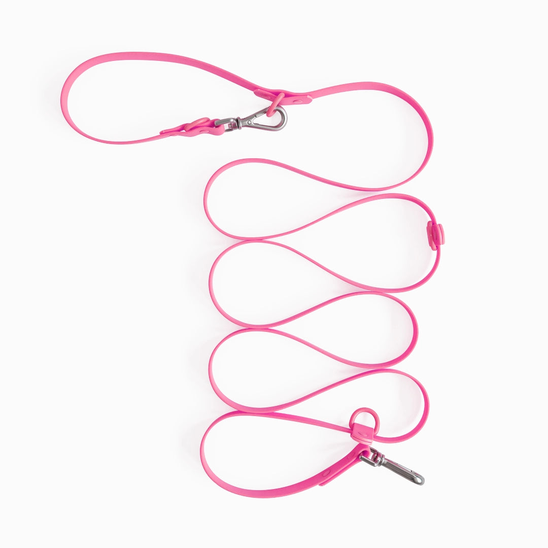 Pink dog leash coiled on a white background