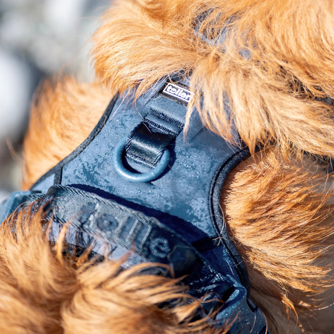 water repellent navy toller dog harness