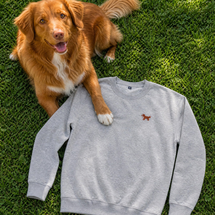 Toller Club Crewneck Grey