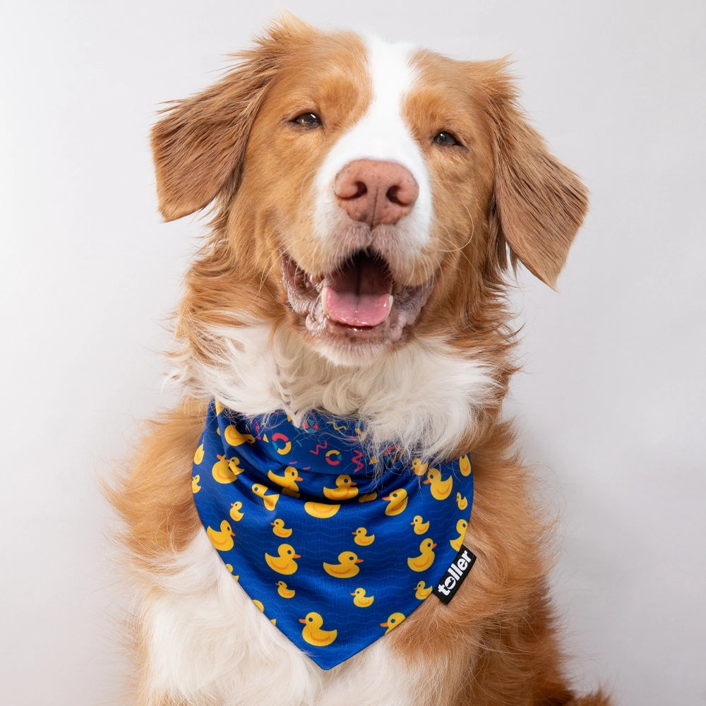 'What The Duck' 2-in-1 Dog Bandana