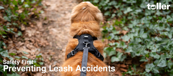 Safety First: Preventing Common Dog Leash Accidents