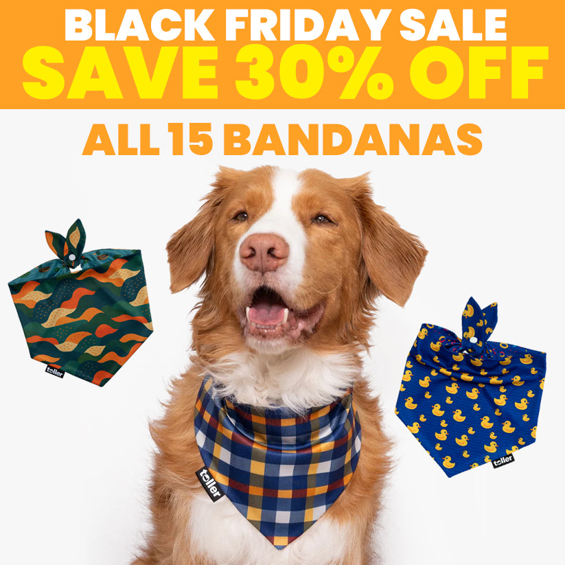 SALE: 2-in-1 Dog Bandana