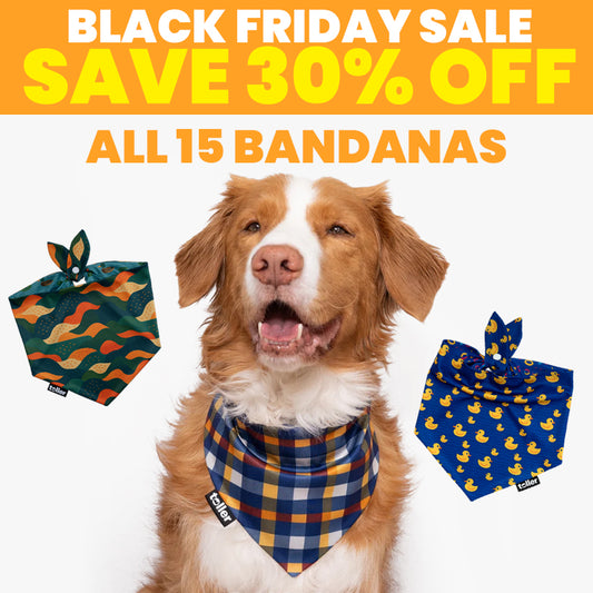 SALE: 2-in-1 Dog Bandana