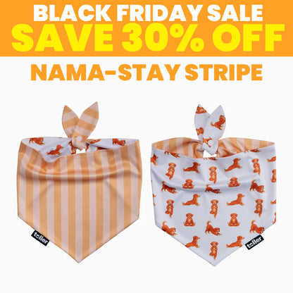 SALE: 2-in-1 Dog Bandana