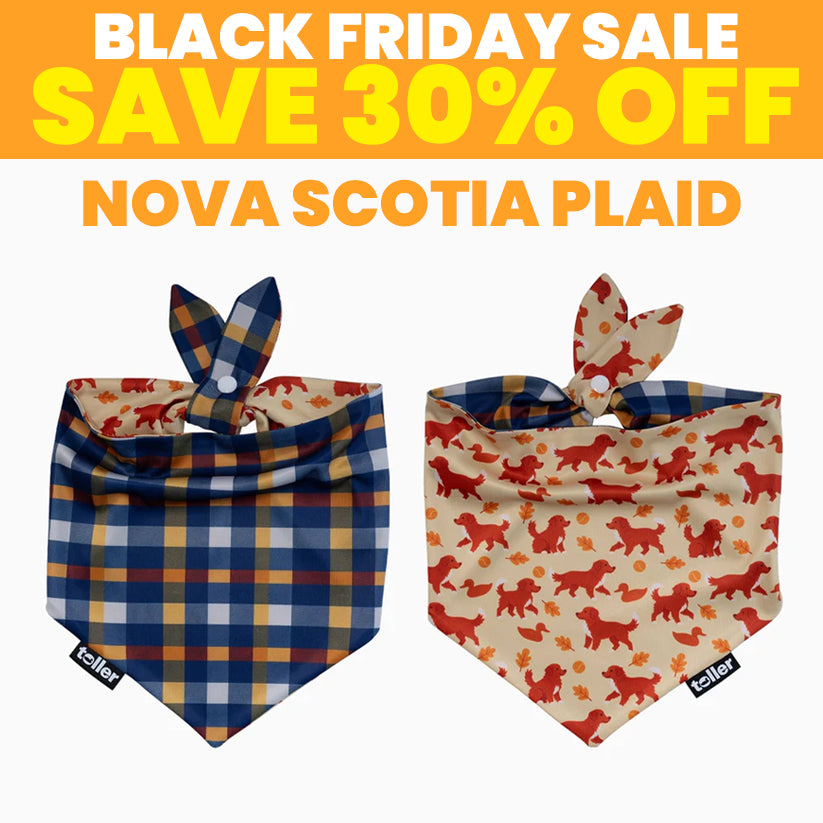 SALE: 2-in-1 Dog Bandana