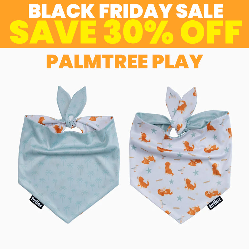 SALE: 2-in-1 Dog Bandana
