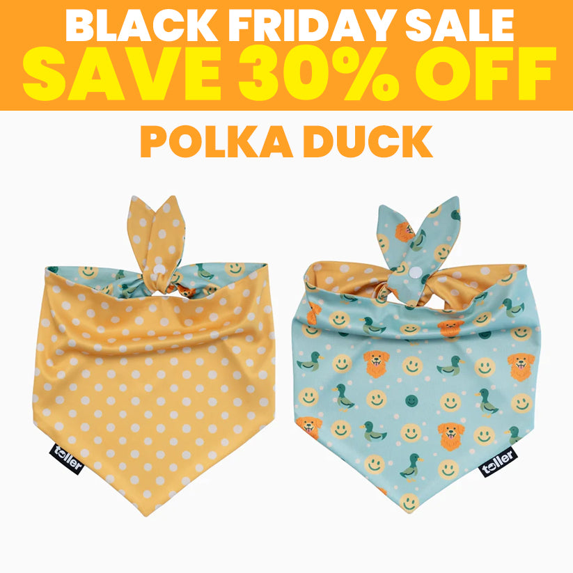 SALE: 2-in-1 Dog Bandana