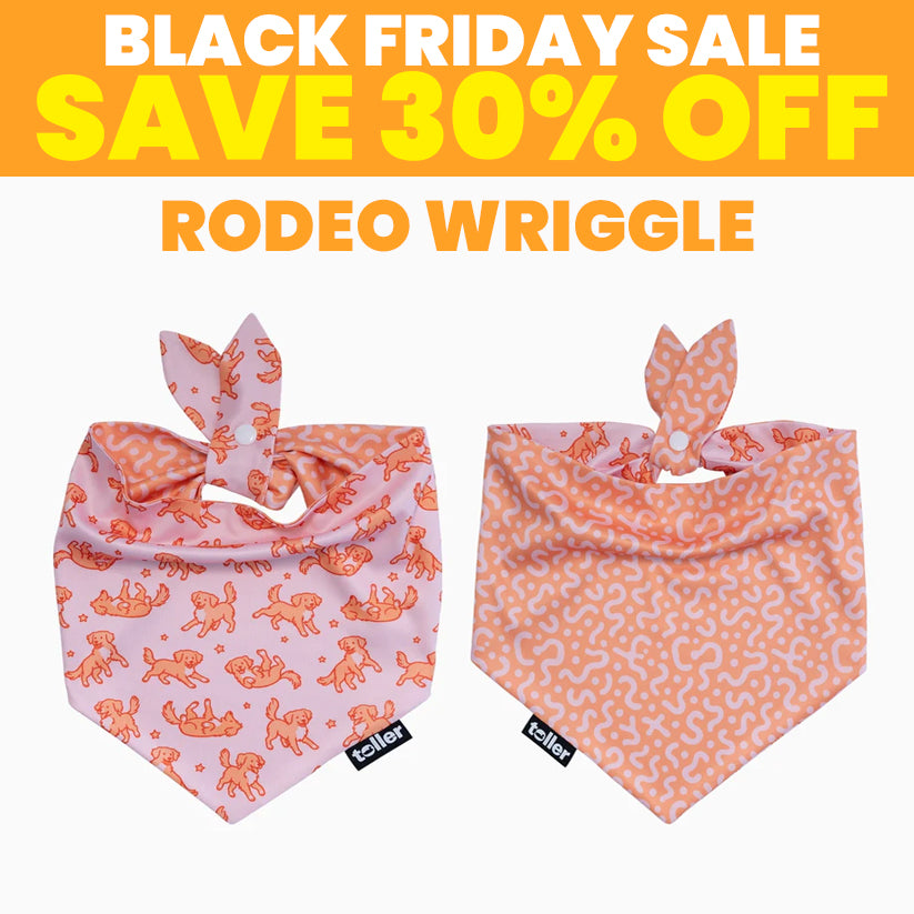 SALE: 2-in-1 Dog Bandana