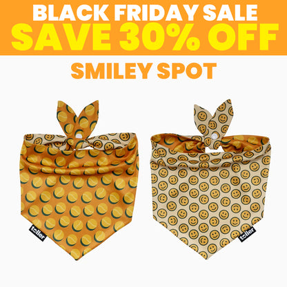 SALE: 2-in-1 Dog Bandana