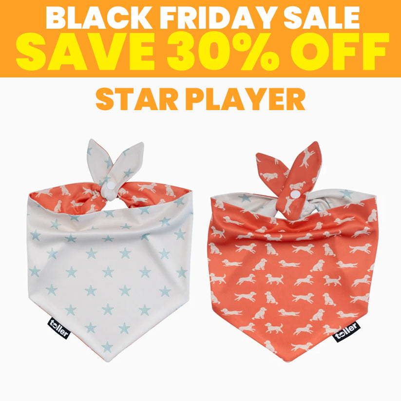 SALE: 2-in-1 Dog Bandana