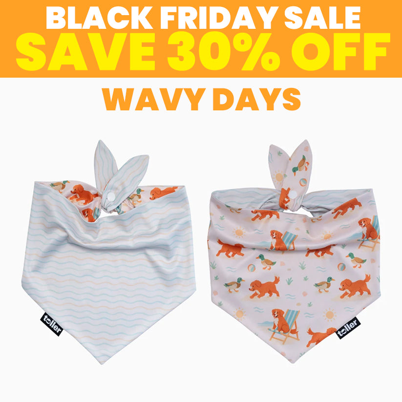 SALE: 2-in-1 Dog Bandana