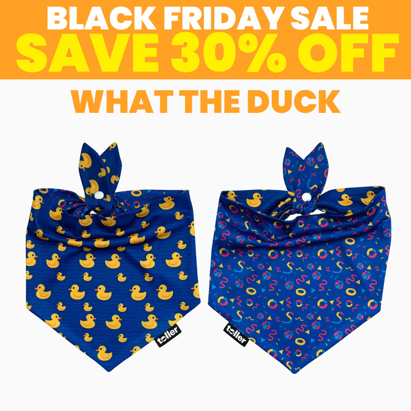 SALE: 2-in-1 Dog Bandana