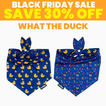 SALE: 2-in-1 Dog Bandana
