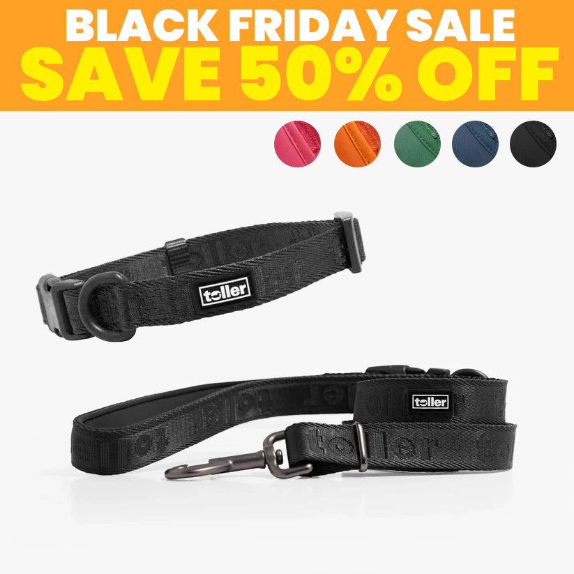 SALE: Leash & Collar Bundle