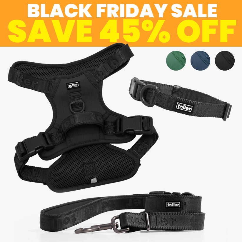 SALE: Complete Bundle