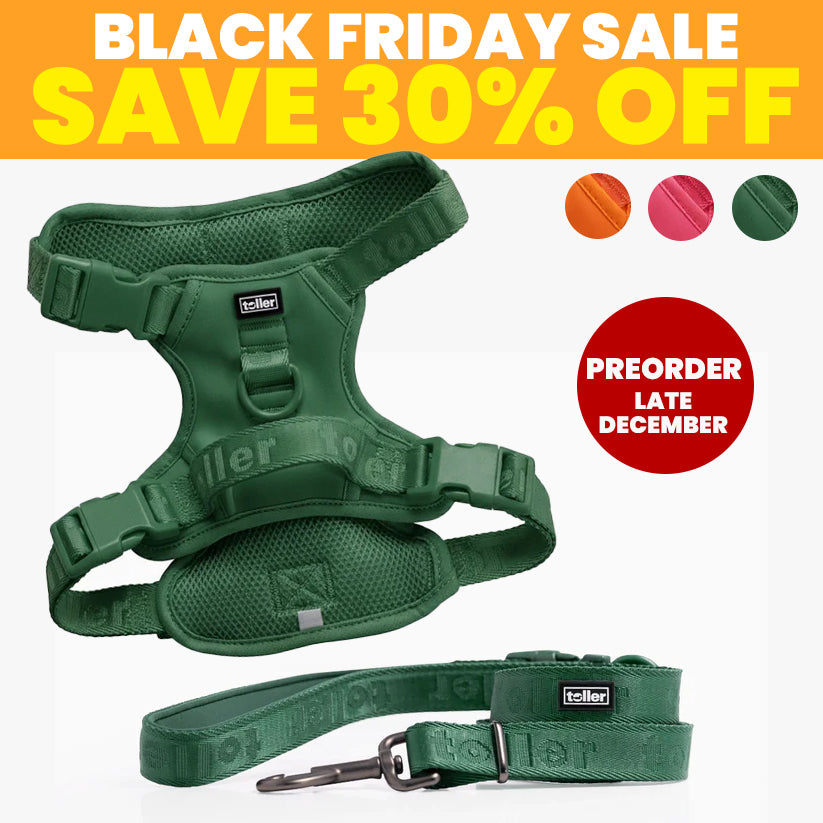 SALE: Harness & Leash Bundle (Clip Fit) [Pre-Order]