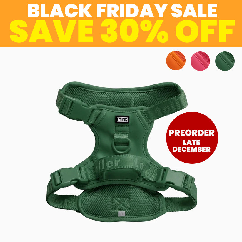 SALE: Harnesses (Clip Fit) [Pre-Order]