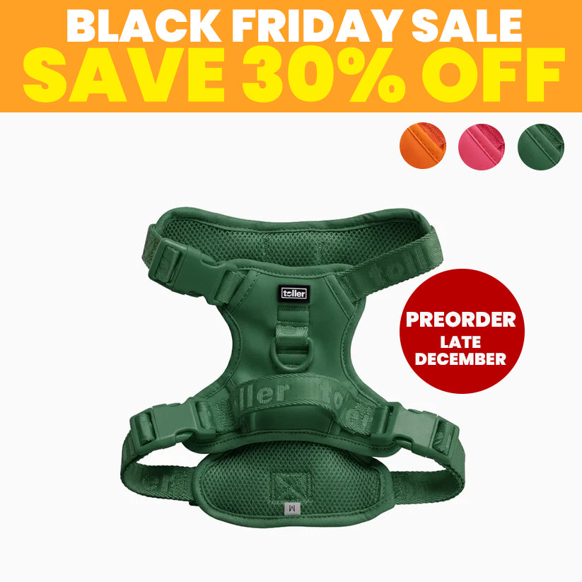 SALE: Harnesses (Clip Fit) [Pre-Order]