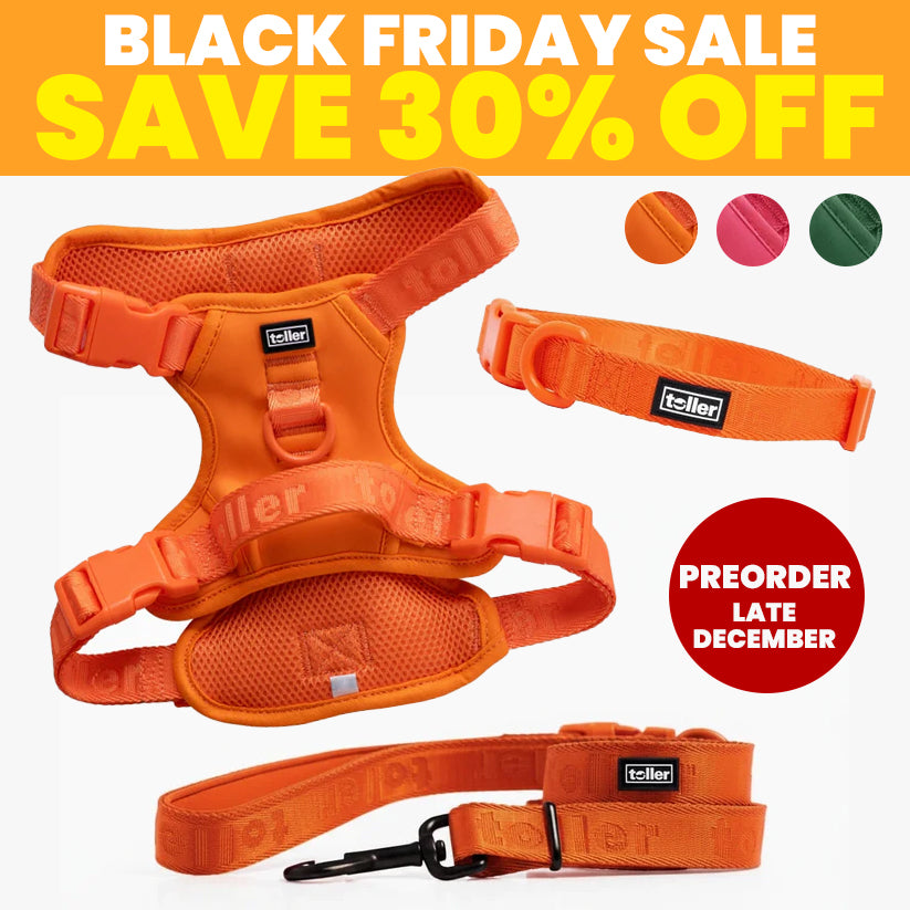 SALE: Complete Bundle (Clip Fit) [Pre-Order]