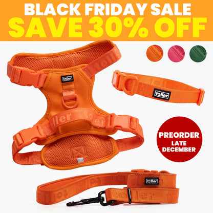 SALE: Complete Bundle (Clip Fit) [Pre-Order]