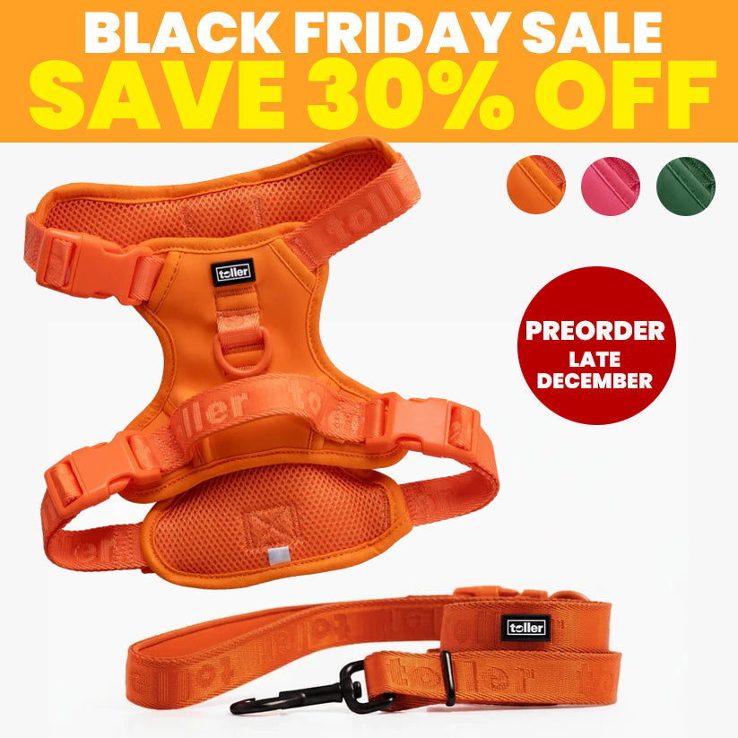 SALE: Harness & Leash Bundle (Clip Fit) [Pre-Order]