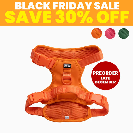 SALE: Harnesses (Clip Fit) [Pre-Order]