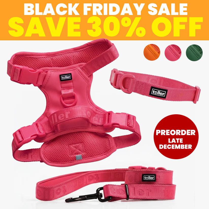 SALE: Complete Bundle (Clip Fit) [Pre-Order]