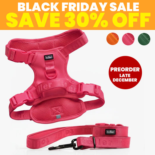 SALE: Harness & Leash Bundle (Clip Fit) [Pre-Order]