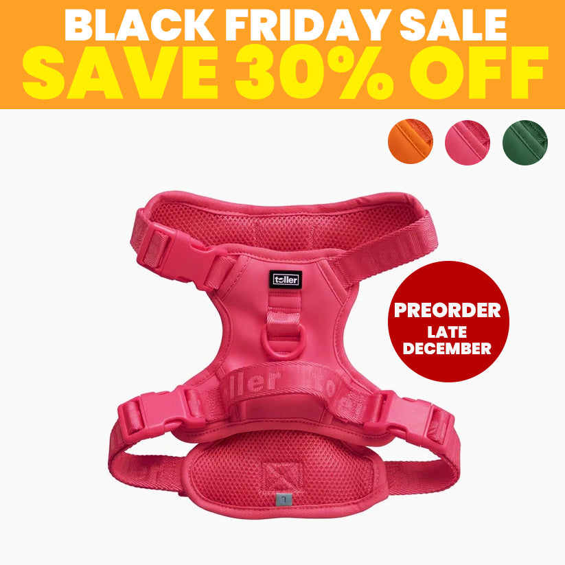 SALE: Harnesses (Clip Fit) [Pre-Order]