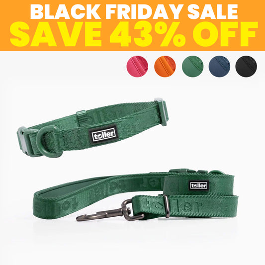 SALE: Leash & Collar Bundle