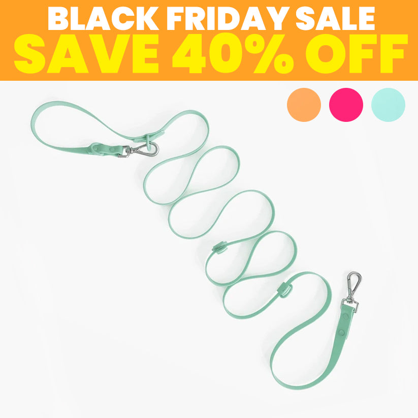 SALE: Handsfree Leash