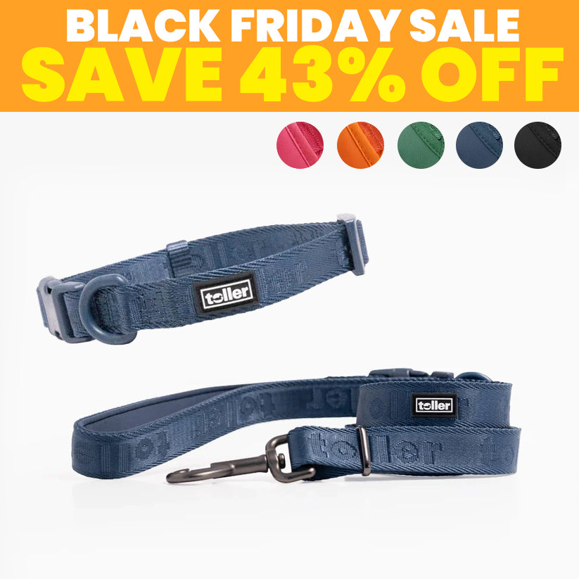 SALE: Leash & Collar Bundle