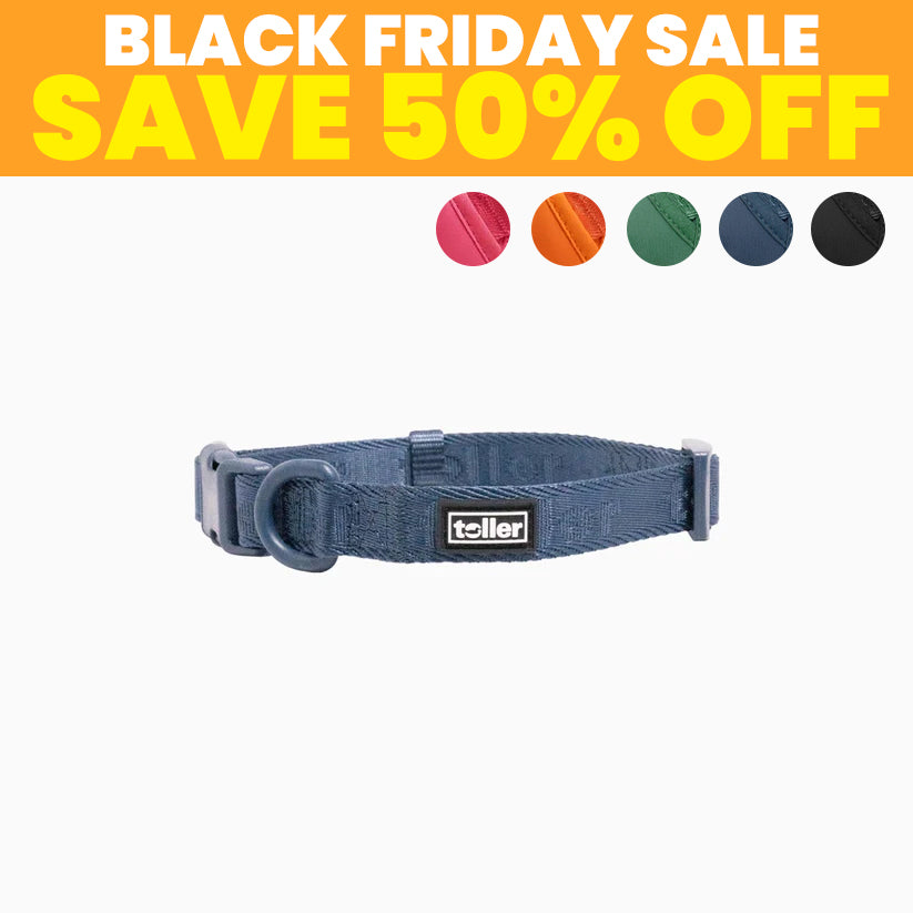 SALE: Collars