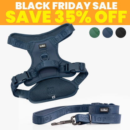 SALE: Harness & Leash Bundle