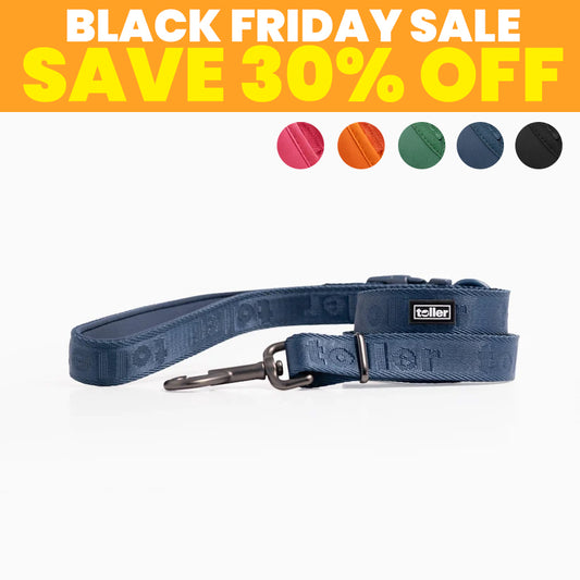 SALE: Leashes