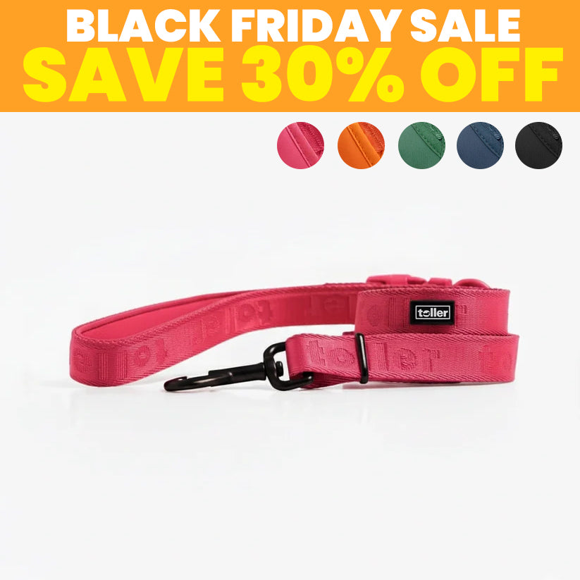 SALE: Leashes